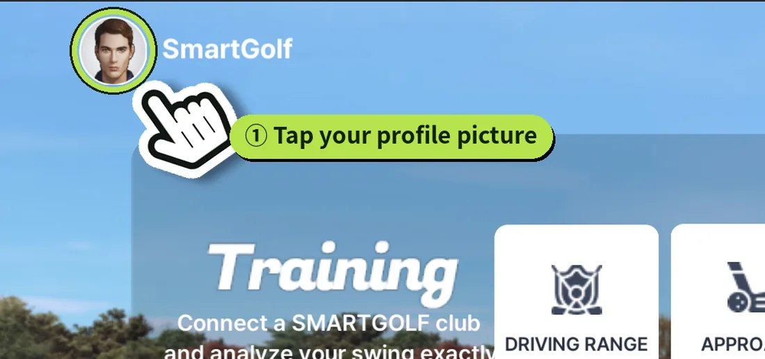 Tap the profile picture at the top left of the app