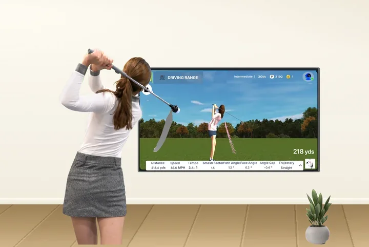 Swinging in front of a TV and checking the swing on screen